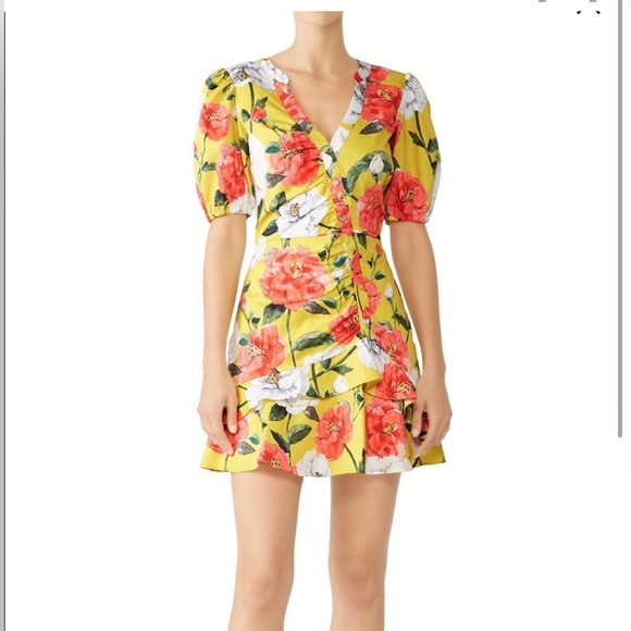 Parker Minna Lemon Wildflower print cotton dress. - Picture 4 of 15